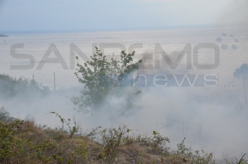 Imperia: ancora incendi nell'immediato entroterra, alcuni roghi di sterpaglie a Santa Brigida e Montegrazie Imperia: ancora incendi nell'immediato entroterra, alcuni roghi di sterpaglie a Santa Brigida e Montegrazie