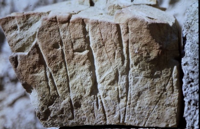 Vallebona: il gruppo ricerche archeologiche &quot;Archeonervia&quot; ha scoperto un'incisione antropomorfa simile ai pebtroglifi della Valle delle Meraviglie