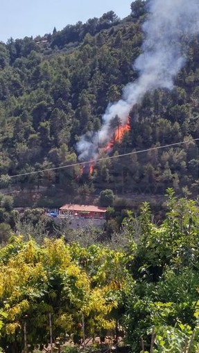 Camporosso: incendio in Strada degli Olandesi, sul posto Vigili del Fuoco, Corpo Forestale e Protezione Civile Camporosso: incendio in Strada degli Olandesi, sul posto Vigili del Fuoco, Corpo Forestale e Protezione Civile