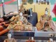 Cremona: tutto pronto per il Japan Show e Italian Koi Expo per un piccolo angolo di Giappone Cremona: tutto pronto per il Japan Show e Italian Koi Expo per un piccolo angolo di Giappone