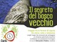 Ventimiglia: domani alla biblioteca Aprosiana un incontro per parlare delle storie legate ai boschi liguri Ventimiglia: domani alla biblioteca Aprosiana un incontro per parlare delle storie legate ai boschi liguri