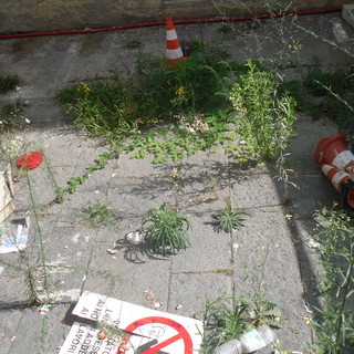 Lavori in Piazza Nota a Sanremo: "Ripristinate al più presto l’area dei lavori!"