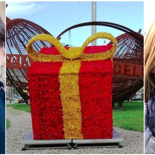 A sorpresa parte dalla 'Rotonda delle Olive' l'installazione delle luminarie di Taggia A sorpresa parte dalla 'Rotonda delle Olive' l'installazione delle luminarie di Taggia