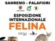 Sanremo: il 29 ed il 30 aprile al Palafiori appuntamento con l'esposizione internazionale felina