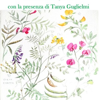 Carpasio "La magia delle piccole cose" di Libereso Guglielmi al Museo della lavanda di Carpasio dal 12 luglio al 31 agosto.