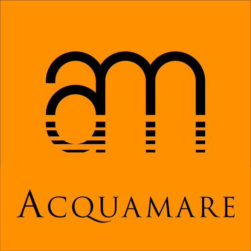 Imperia: è l'avv. Piero d'Amelio il nuovo presidente della società Acquamare srl