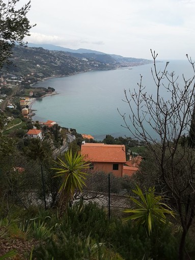 Ventimiglia: al via la 24° Giornata di primavera FAI, nell’incantevole borgo della Mortola Ventimiglia: al via la 24° Giornata di primavera FAI, nell’incantevole borgo della Mortola