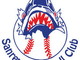 Sanremo: domenica prossima a Pian di Poma l'open day 'Ciak: si gioca (a baseball) - parte seconda' Sanremo: domenica prossima a Pian di Poma l'open day 'Ciak: si gioca (a baseball) - parte seconda'