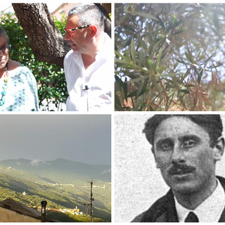 Siccità e stagione olearia: il punto con Laura Marvaldi, la signora dell'olio (videointervista) Siccità e stagione olearia: il punto con Laura Marvaldi, la signora dell'olio (videointervista)