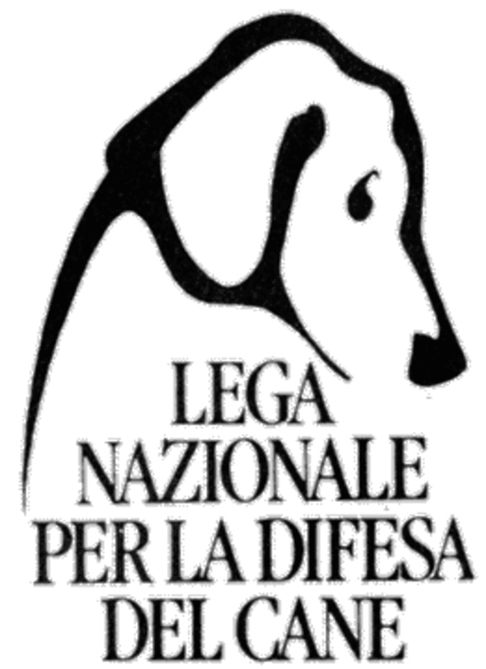 Immagine d'archivio Immagine d'archivio