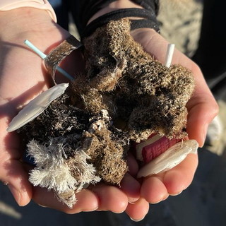 La legalità e il mare. Oggi l’ultima lezione per la settimana della legalità: oltre 100 ragazzi sulle spiagge di San Lorenzo per monitorare lo stato di salute del mare
