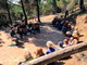 Cervo: questa sera, appuntamento con il concerto dei 'Liguriani' nell'area naturalistica del parco comunale del Ciapà Cervo: questa sera, appuntamento con il concerto dei 'Liguriani' nell'area naturalistica del parco comunale del Ciapà