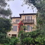 Bordighera, riconoscimento ufficiale ai “Due Ulivi” dipinti da Monet: sono alberi monumentali a livello nazionale
