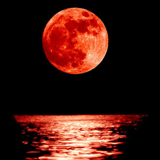 Tutti gli appuntamenti e manifestazioni da venerdì 27 a domenica 29 luglio in Riviera e Côte d'Azur