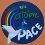 Sanremo, “Ulivi sotto occupazione”: incontro con Turaya Tulsi alla Città Invisibile Sanremo, “Ulivi sotto occupazione”: incontro con Turaya Tulsi alla Città Invisibile