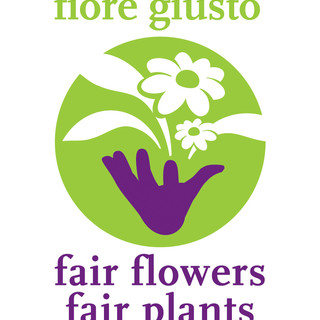 Sanremo: l'ape del popolo a sostegno della floricoltura con il logo "Fiore Giusto"