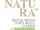 Sanremo Forza della Natura il programma di oggi 1° maggio Sanremo Forza della Natura il programma di oggi 1° maggio