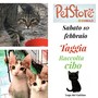 Raccolta cibo per i gatti e gattini randagi domani al Pet Store di Arma di Taggia