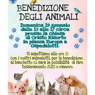 Ospedaletti: domenica prossima presso la Chiesa di Cristo Risorto la benedizione degli animali Ospedaletti: domenica prossima presso la Chiesa di Cristo Risorto la benedizione degli animali