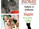 Raccolta cibo per i gatti e gattini randagi domani al Pet Store di Arma di Taggia