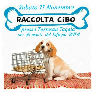 Taggia: sabato da Fortesan raccolta di cibo con i volontari Enpa per i cani ed i gatti del rifugio di strada San Pietro