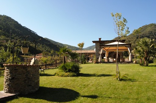 Il fungo è ancora protagonista alle Macine del Confluente di Badalucco