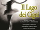 'Il Lago dei Cigni' al teatro Ariston