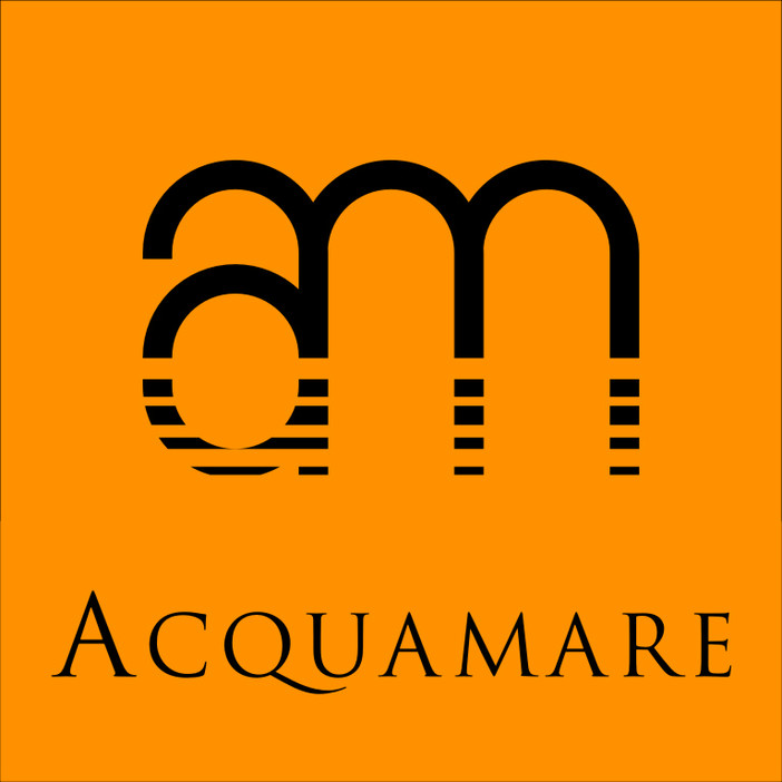 Imperia: è l'avv. Piero d'Amelio il nuovo presidente della società Acquamare srl