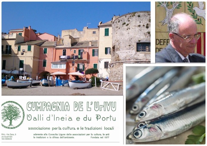 Imperia: giovedì alla Cumpagnia de l'Urivu un incontro con Giampiero Laiolo su  "Il salto dell'Acciuga a Laigueglia"