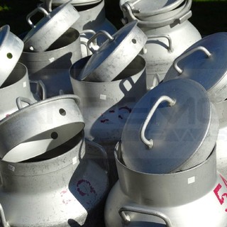 Fatti mandare dall'Europa a prendere il latte