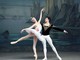 Spettacolo d Balletto 'Il Lago dei Cigni' al Palais Nikaïa di Nizza