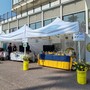 Prevenzione, solidarietà, volontariato e visite guidate: Bordighera celebra il "Lions day" (Foto e video) Prevenzione, solidarietà, volontariato e visite guidate: Bordighera celebra il "Lions day" (Foto e video)