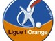 Calcio, Ligue 1: risultati e classifica della 33giornata Calcio, Ligue 1: risultati e classifica della 33giornata
