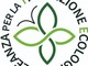 Sanremo, sabato a villa Ormond la prima tappa italiana dell'alleanza per la transizione ecologica Sanremo, sabato a villa Ormond la prima tappa italiana dell'alleanza per la transizione ecologica