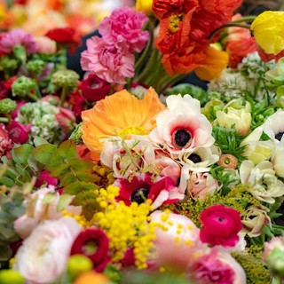 Il 9 gennaio appuntamento con la 7ª edizione del Concorso Bouquet Festival di Sanremo 2023 Il 9 gennaio appuntamento con la 7ª edizione del Concorso Bouquet Festival di Sanremo 2023