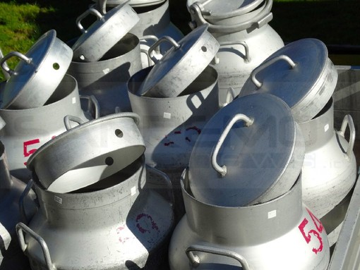 Fatti mandare dall'Europa a prendere il latte