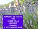 Al museo della lavanda di Carpasio domenica appuntamento con "Il volto nuovo della profumeria italiana"