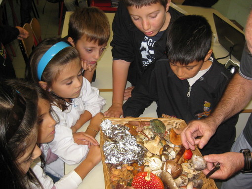 Imperia: prosegue il progetto per le scuole "Il bosco e i suoi abitanti"