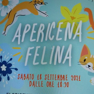 Sanremo: domani sera alle ore 18,30 al Floriseum apericena per aiutare la Lega del Gatto Sanremo: domani sera alle ore 18,30 al Floriseum apericena per aiutare la Lega del Gatto