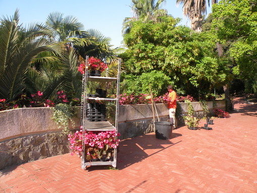 Sanremo: terminati i lavori di abbellimento floreale nel parco di Villa Ormond. Le foto Sanremo: terminati i lavori di abbellimento floreale nel parco di Villa Ormond. Le foto