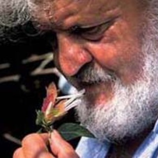 Produzione video di Roberto Pecchinino per la AdnKronos su Libereso Guglielmi