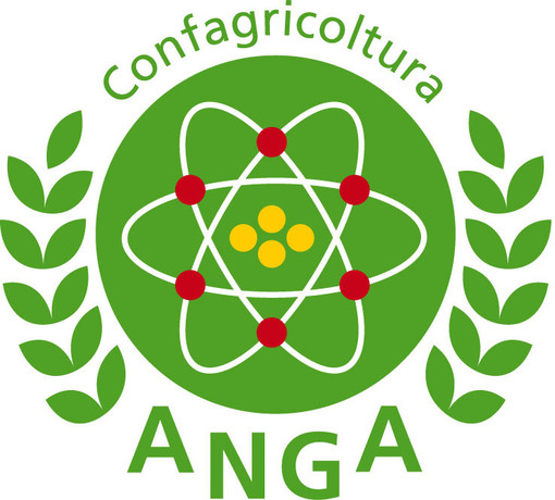 Disastri causati dall'alluvione, la presa di posizione del futuro presidente dell'Anga di Imperia