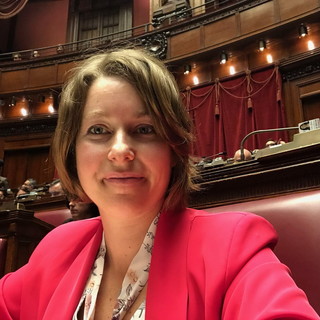 Bocciato l'emendamento sulle targhe estere per i frontalieri: Volpi (M5S) “Strumentalizza i problemi dei frontalieri raccontando bugie”