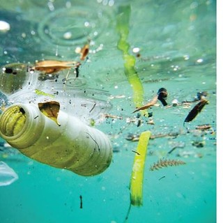 Imperia: domenica torna la pulizia delle spiagge libere organizzata dal comitato "M'Importa"