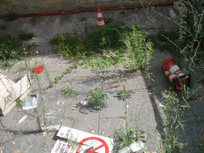 Lavori in Piazza Nota a Sanremo: "Ripristinate al più presto l’area dei lavori!" Lavori in Piazza Nota a Sanremo: "Ripristinate al più presto l’area dei lavori!"