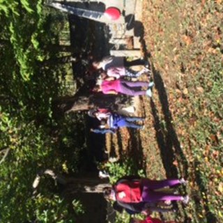 Sanremo: lezioni all'aperto per i bambini della scuola di Verezzo, nei giorni scorsi visita a 'Nonno Ulivo'