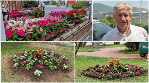 Le aiuole di Arma di Taggia si rifanno il look per l'inizio dell'estate, Longobardi "Semplice attenzione"