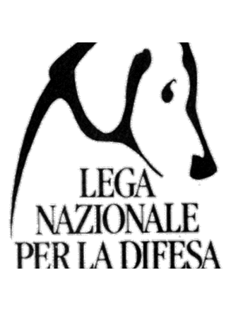 Immagine d'archivio Immagine d'archivio