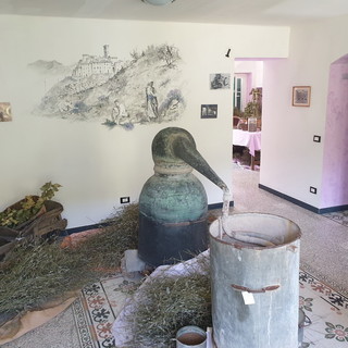 Montalto Carpasio: finanziati per 108mila euro i lavori all'Ostello Leo Anfosso e per il tetto del Museo Della Lavanda Montalto Carpasio: finanziati per 108mila euro i lavori all'Ostello Leo Anfosso e per il tetto del Museo Della Lavanda
