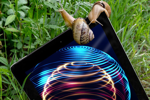 Dal 25 al 27 settembre, l’Elicicoltura Metodo Cherasco alla ribalta internazionale